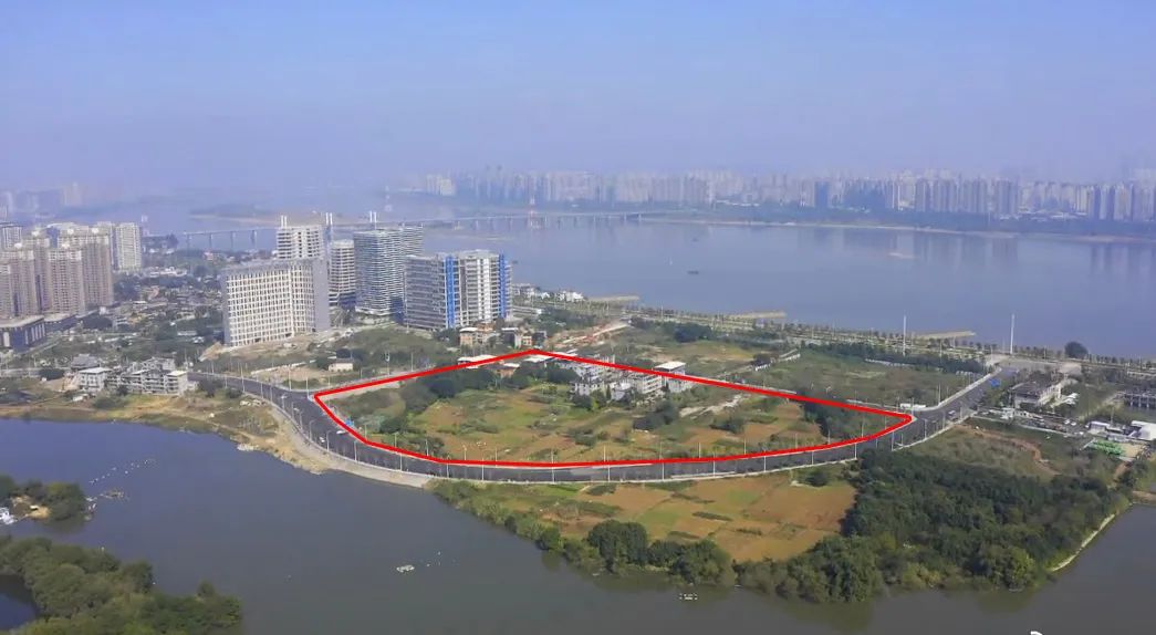 点击查看大图