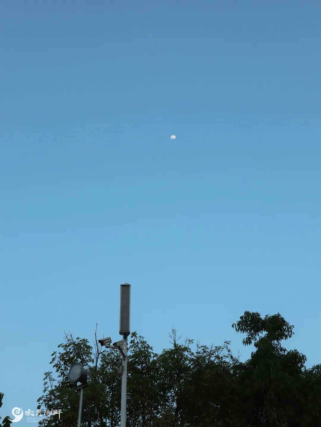邱韵霏 (4)傍晚.jpg