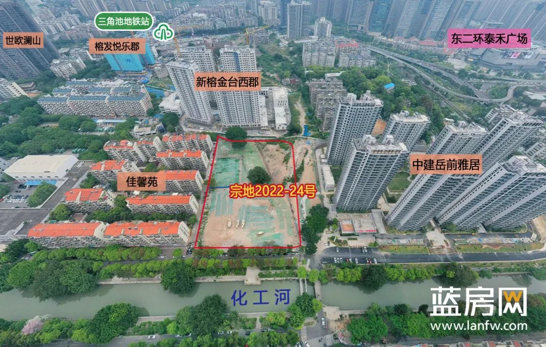点击查看大图