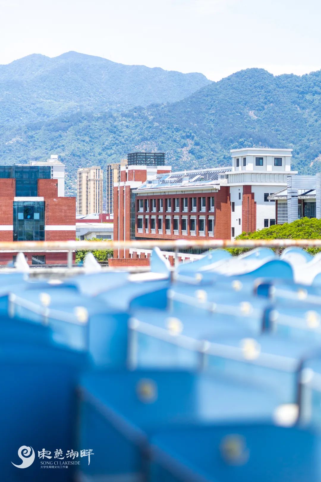 (图7)林雨林(10).jpg