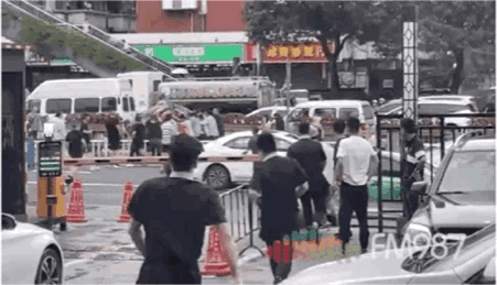 IMG_7481.GIF