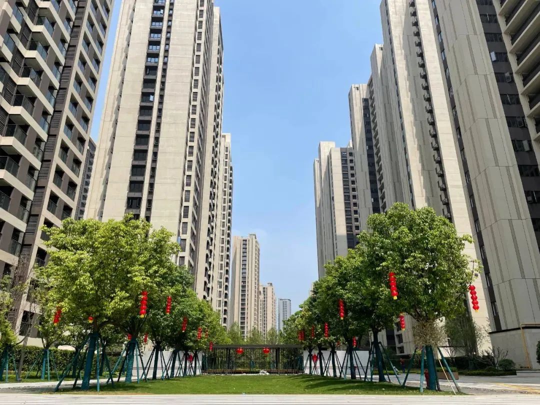 点击查看大图