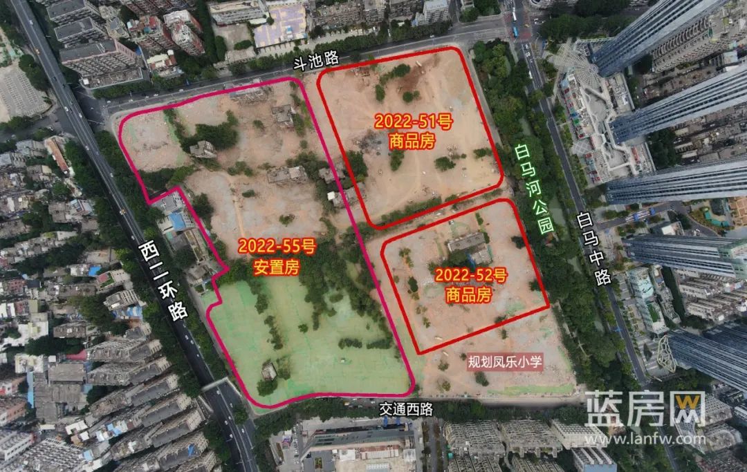 点击查看大图