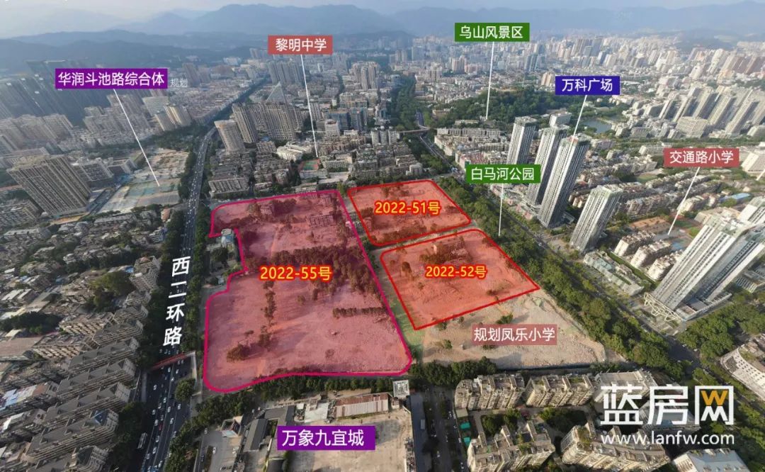 点击查看大图