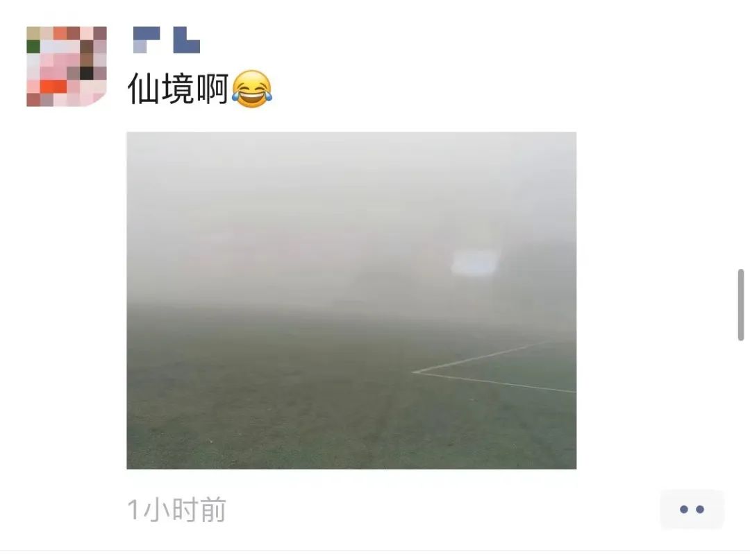 微信图片_20230213092146.jpg