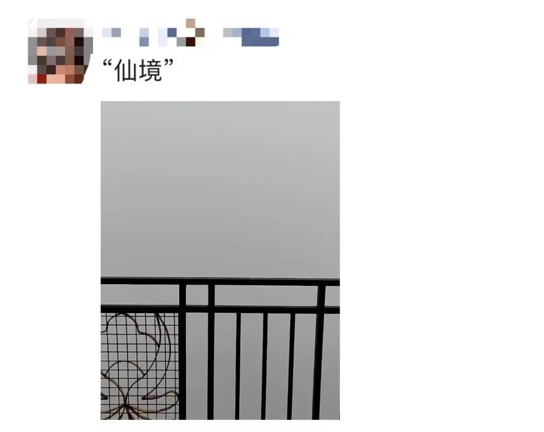 微信图片_20230213092133.jpg