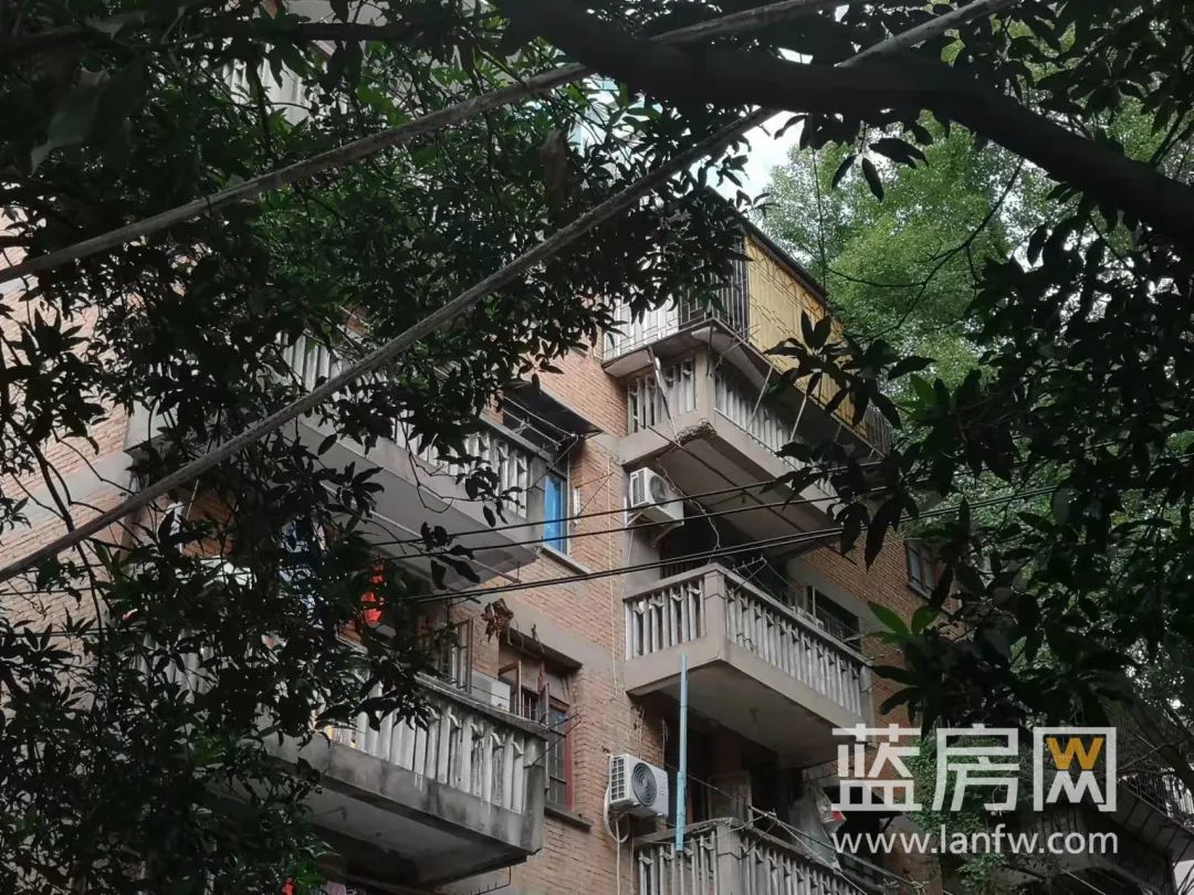 点击查看大图