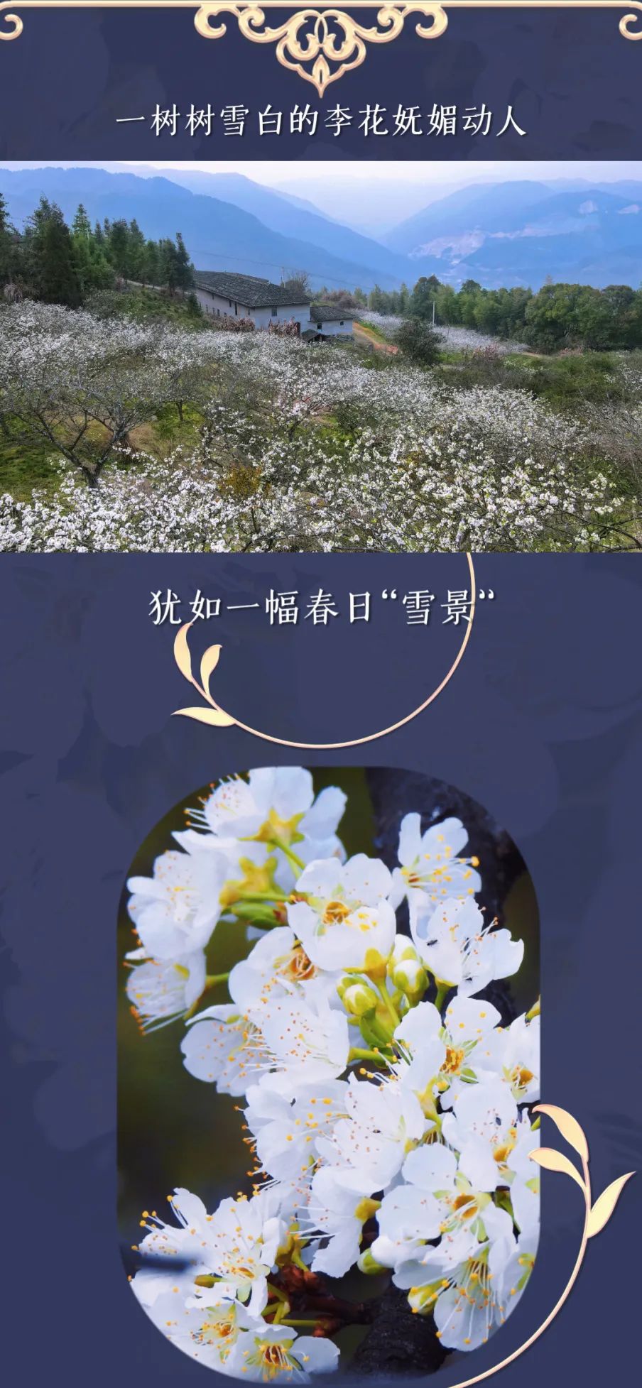 微信图片_202302221503401.jpg