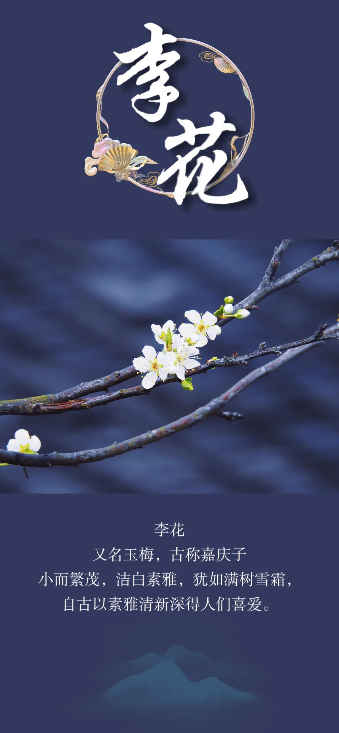 微信图片_202302221503402.jpg