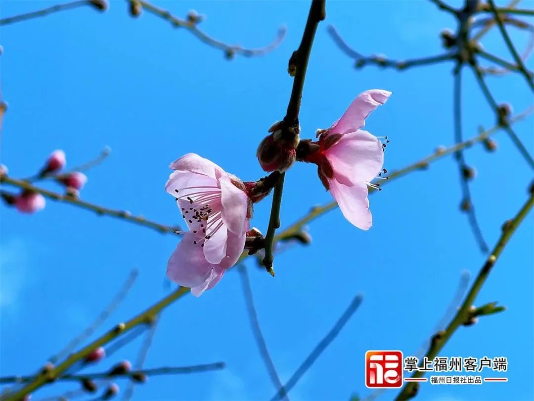 微信图片_20230224084434.jpg