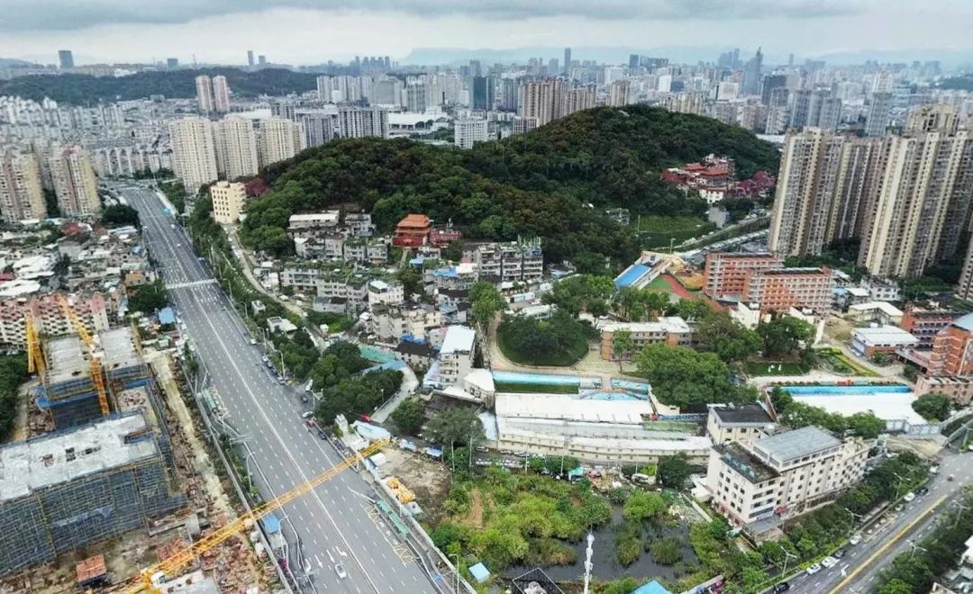 点击查看大图