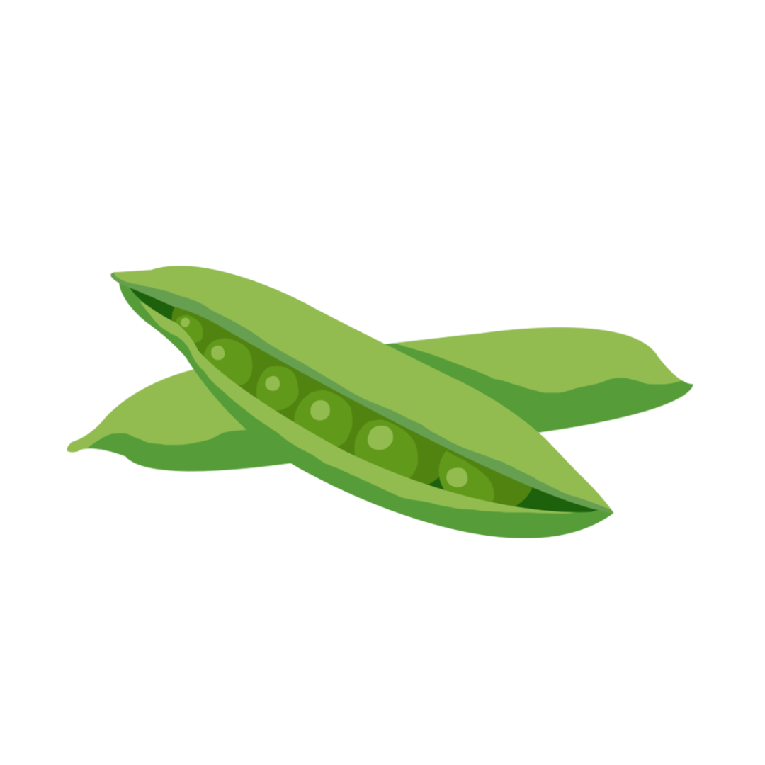 豆角2.png