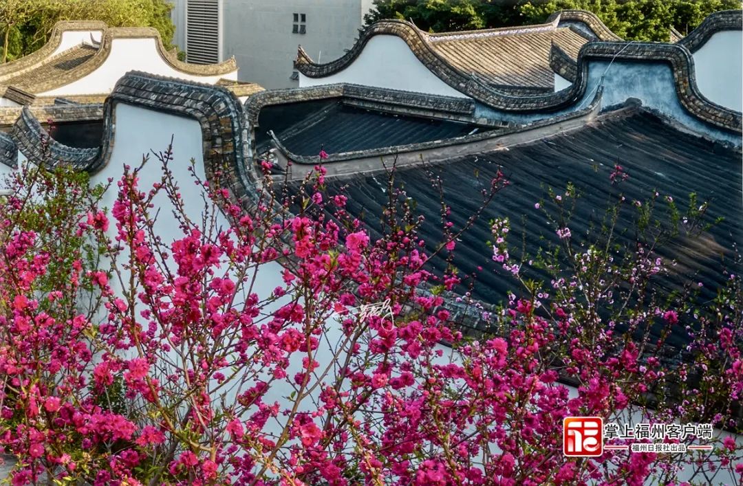 微信图片_20230306161350.jpg