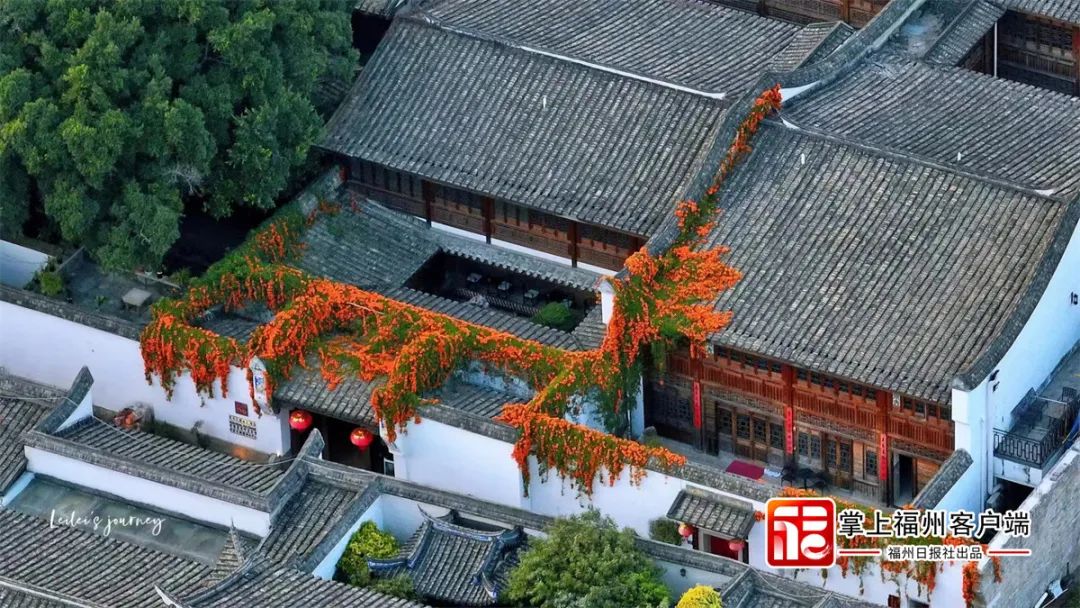 微信图片_20230306135257.jpg