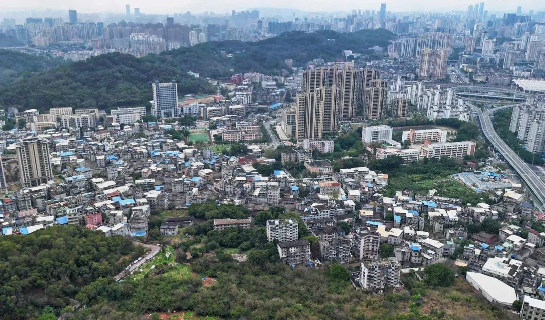 点击查看大图