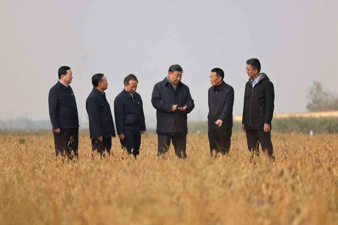 2021年10月21日上午,习近平在山东省东营市黄河三角洲农业高新技术产业示范区考察时,走进田间察看大豆长势。新华社记者 王晔 摄